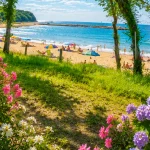 Плажът, гледан през цъфтящи храсти